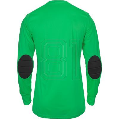 2. adidas Assita 17 M AZ5400 Torwarttrikot