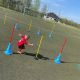 3. Yakima Sport Trainingsstab 1 m rosa 100875