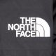 3. The North Face M GTX Mountain Jacke NF0A831MKX81 Schwarz L