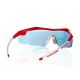 10. Goggle E690-3 Sonnenbrille