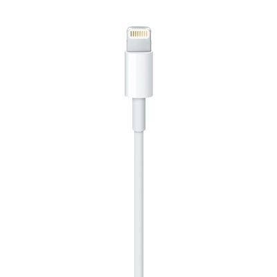 3. Apple Lightning-auf-USB-Kabel (1 m)
