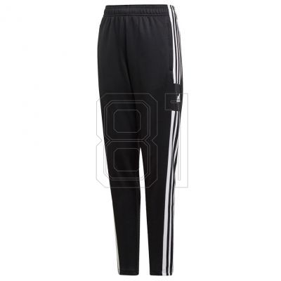 adidas Squadra 21 Training Youth Jr GK9553 Hose