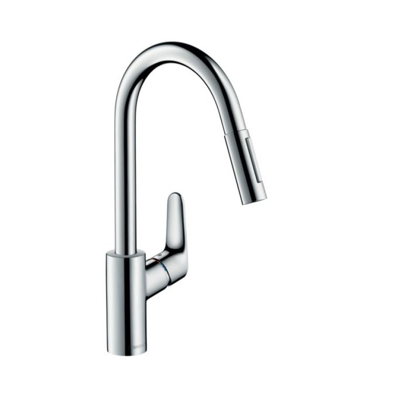 2. Hansgrohe Focus M41 Küchenarmatur mit Ausziehbrause