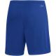 7. adidas Entrada 22 M HG6294 Shorts