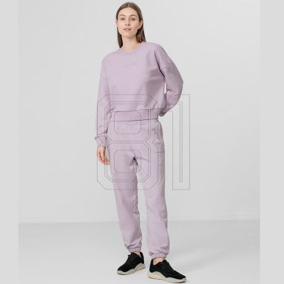 5. Sweatshirt 4F W H4L22-BLD023 52S