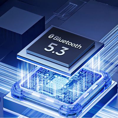 4. Bluetooth 5.3 Adapter/Receiver