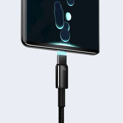 11. Baseus Wolfram Gold USB-A auf USB-C Kabel 480Mb/s 100W 2m Schwarz (CAWJ000101)