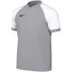 Nike Dri-FIT Trophy VI Kinder-T-Shirt Grau HV8158 012
