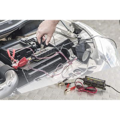 10. DUNLOP BATTERIELADEGERÄT