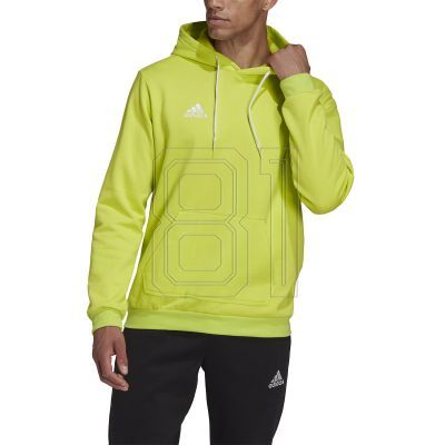 4. Adidas Entrada 22 M Sweatshirt HC5083