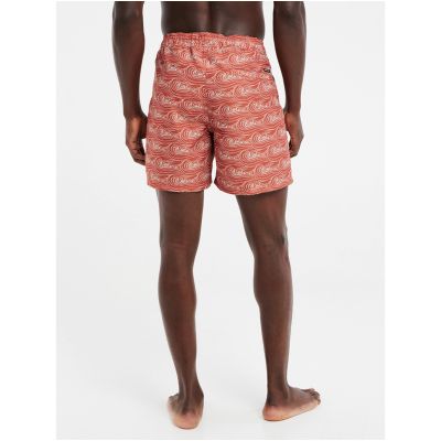 4. Herren-Badeshorts Protest PRTTERTON Beachshort