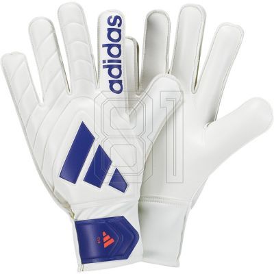 adidas Copa GL CLB IX3835 Torwarthandschuhe