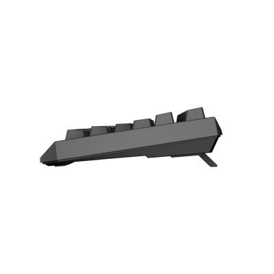 28. GENESIS Thor 230 TKL Gaming-Tastatur USB + RF Wireless + Bluetooth QWERTY US English Schwarz