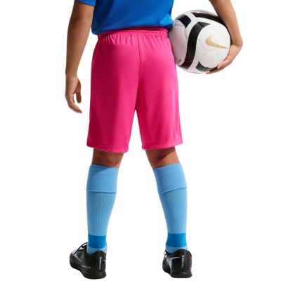 4. Nike Dry Park III NB K Kindershorts Pink BV6865 616