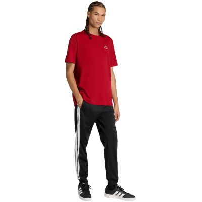 6. Herren-T-Shirt adidas Color Icon Graphic rot KT4444