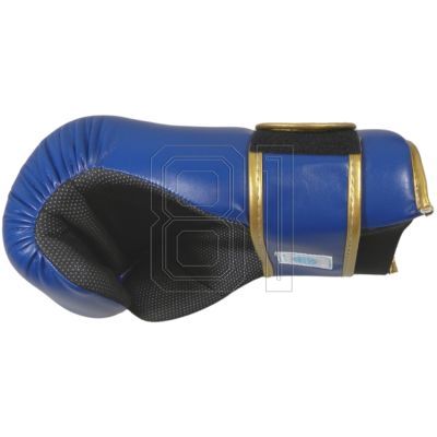 41. ROSM-MASTERS Offene Handschuhe (WAKO-GENEHMIGT) 01559-02M