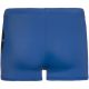 Jungen-Badeshorts Junior PROTEST Carst, blau