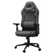 2. COUGAR CGR-EPF-ROG Universeller Gaming-Stuhl Grau