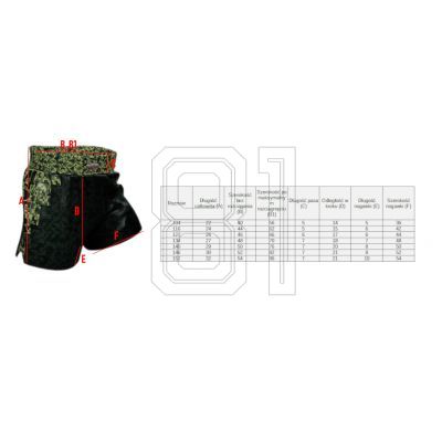 3. Masters Trainingsshorts Junior Mfc "Mine" Jr 06692-140