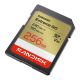 2. Sandisk Extreme Go SD UHS-I 256GB SD 230MB/s(R) / 150MB/s(W)