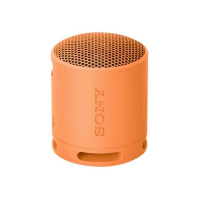 3. Sony SRS-XB100 Tragbarer Mono-Lautsprecher Orange