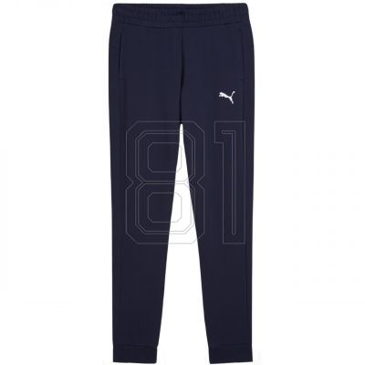Puma Team Goal Casuals Pants W 658604 06