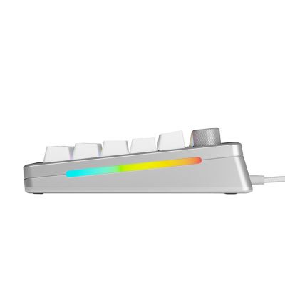 3. Glorious Gaming GMMK 3 PRO 75% vorgefertigte USB-Tastatur QWERTY US-Englisch Silber