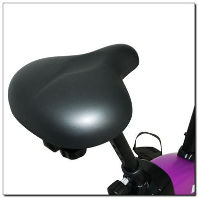 5. Lila Magnetfahrrad HMS M9239V 