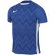 3. Nike Dri-Fit Challenge Trikot V Jr FD7426 463