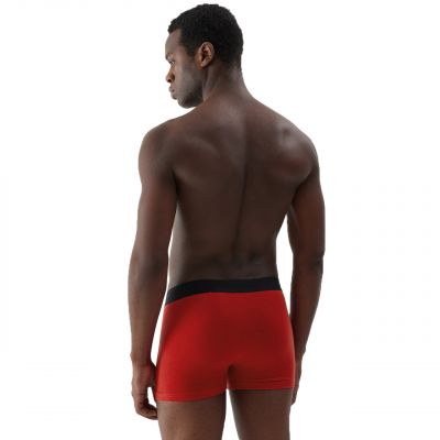5. Boxershorts 4F M027 1 M 4FAW23UBXSM027 91S