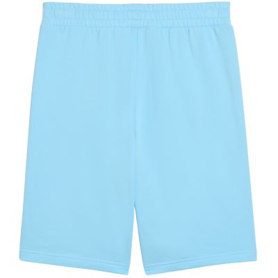 2. Puma ESS No.1 Logo 10" Herrenshorts (Größe S) Hellblau 682595 45