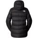 2. The North Face Hyalite Daunenparka NF0A8E74JK31 Schwarz L