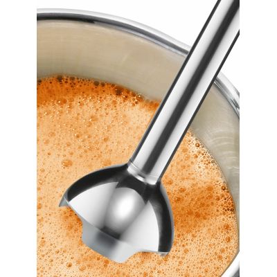 2. BOSCH MSM 24100 Stabmixer