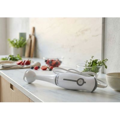 12. Esperanza Frappe Stabmixer EKM001E (250 W; grau)