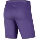 2. Nike Dry Park III NB K Kindershorts Lila BV6865 507