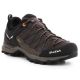 Salewa Mtn Trainer Lite GTX M 61361-7512 Trekkingschuhe