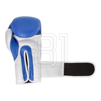 19. MASTERS RBT-TRW 01210-02 Leder-Boxhandschuhe