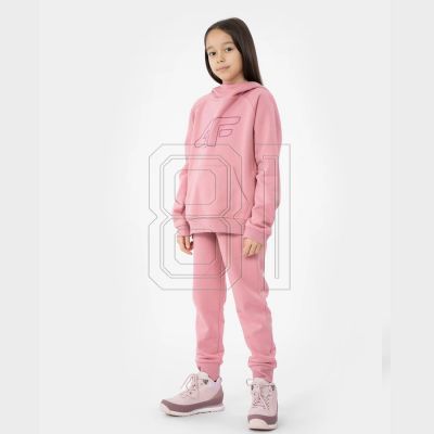 5. Hose 4F Jr HJL22-JSPDD001 56M