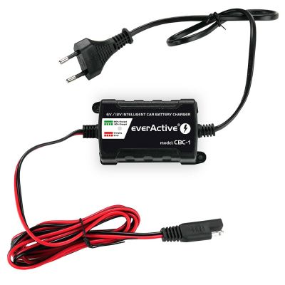 2. Autobatterieladegerät everActive CBC-1