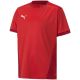 3. Puma teamGOAL 23 Trikot Jr 704160 01