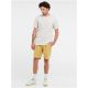 Herren-T-Shirt Protest PRTCOTTES