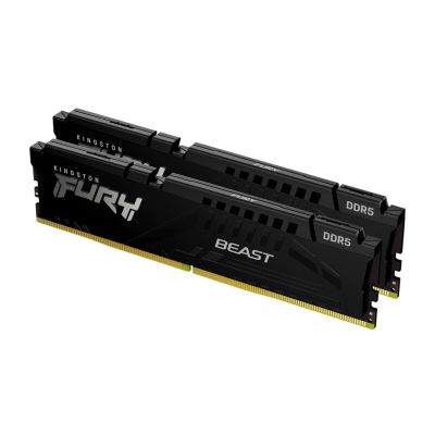31. KINGSTON FURY Beast DDR5 32GB 5600MHz CL36 (2er-Kit) Schwarz EXPO