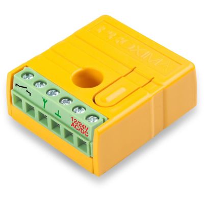 Proxima NW1 FL (NICE FLOR) Controller/Funkempfänger