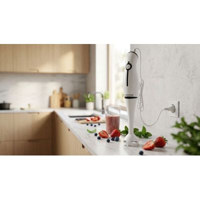 10. Esperanza Frappé Stabmixer EKM001K (250W; schwarz)