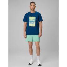 Herren-Boardshorts 4F 4FRSS26UBDSM229-33S