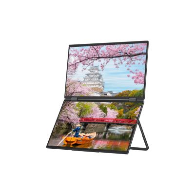 2. JAPANNEXT 39,6 cm JN-DMD-IPS156F Dual FHD Monitor