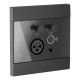 2. AUDAC WP225/B Wandpanel, XLR-Mikrofonanschluss + 3,5-mm-Klinkenanschluss + Bluetooth, schwarz