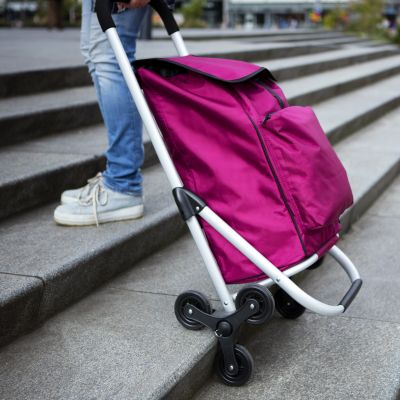 3. Expert Premium 604353 Einkaufswagen