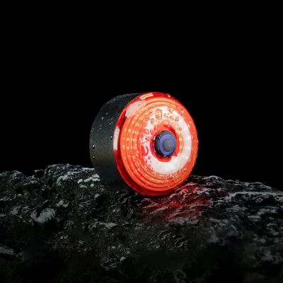 9. Rockbros C61 Hartschalen-Satteltasche für Lampe