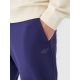 2. Herren Jogger Sweatpants 4F 4FWMM00TTROM1139-31S